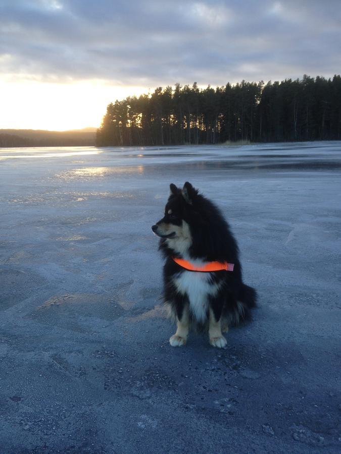 Mora Vandrarhem Och Gaesthem Vinäs 외부 사진